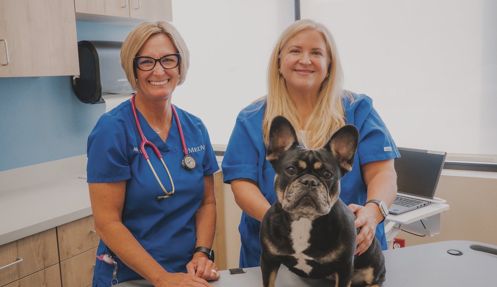 MedVet Frisco